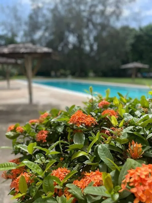 Kingston Tropical Retreat Apartamento 0*,